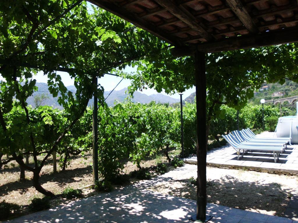 Il Vigneto "Cottage" 가기 객실 사진